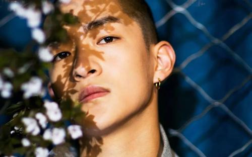 狗仔爆料屈楚萧视频,屈楚萧私密视频引发热议  第3张